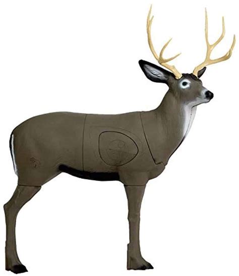 best 3d deer targets